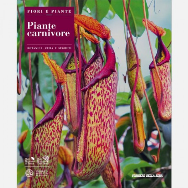 Fiori e Piante