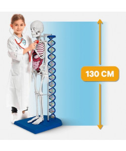 Il Corpo Umano Parlante! - Uscita n.40 - 20 Gennaio 2026 - Quattordicinale