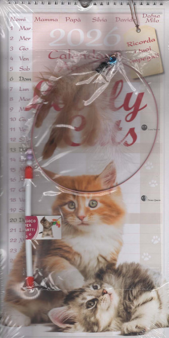Calendario Agenda Lovely Cats 2026 (22x45 cm con spirale) + Gioco per Gatti