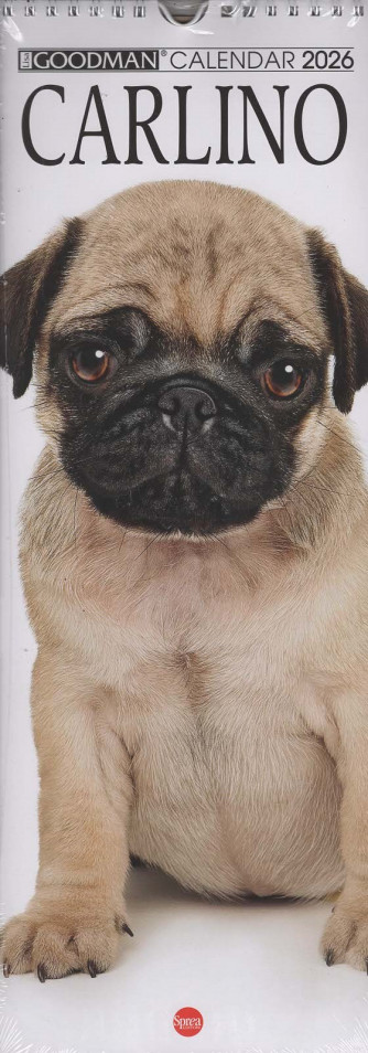Calendario Carlino 2026 (15x41 cm con spirale)