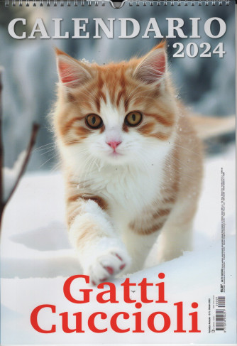 Calendario 2024  Gatti cuccioli cm. 29 x 42 c/ spirale