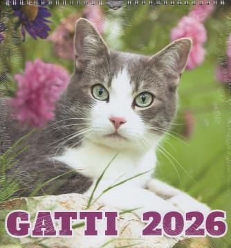 Calendario Gatti 2026 (28x30 cm con spirale)