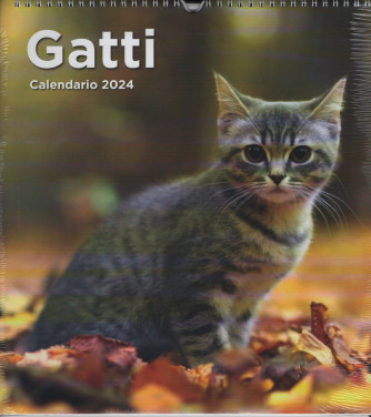 Calendario GATTI 2024 - cm. 31 x 33 con spirale