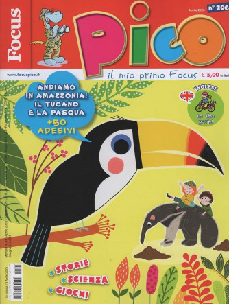 Focus Pico - Uscita n.206 - 8 Aprile 2025 - Mensile
