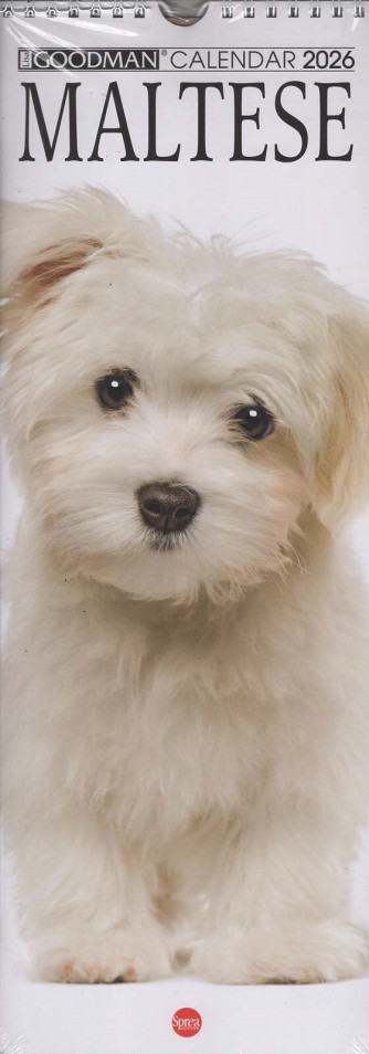 Calendario Maltese 2026 (15x41 cm con spirale)