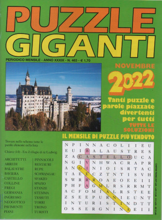 Puzzle giganti - n. 463 - mensile - novembre 2022