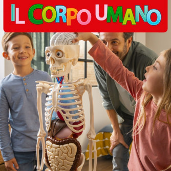 Il Corpo Umano - Componenti + fascicolo - Uscita n.8 - 7 Novembre 2025 - Settimanale