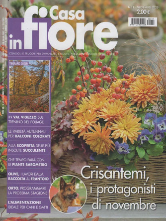 Casa in Fiore - Crisantemi, i protagonisti di novembre - Uscita n.11 - 23 Ottobre 2025 - Mensile