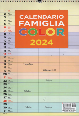 Calendario 2024 Famiglia color - cm. 29 x 42 c/spirale
