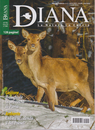 Diana - n. 2 - mensile - febbraio 2021- 128 pagine!