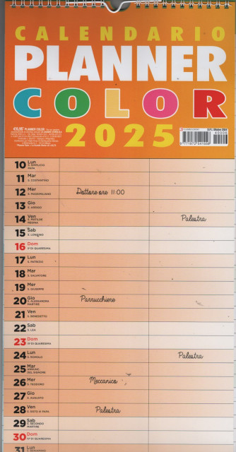 CALENDARIO PLANNER COLOR 2025 cm. 22x45 c/spirale