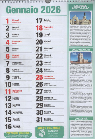 Calendario dell'Anno Nuovo 2026 (29x42 cm con spirale)