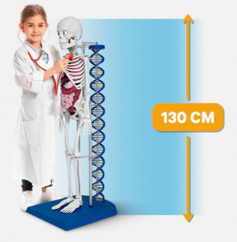 Il Corpo Umano Parlante! - Uscita n.27 - 19 Aprile 2025 - Quattordicinale