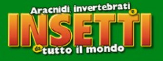 Insetti da Tutto il Mondo - Vespa Asiatica del Miele - India - Uscita n.74 - 14 Marzo 2025 - Settimanale