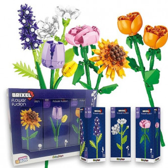 Flower Fusion - 14 Ottobre 2025 - Bimestrale