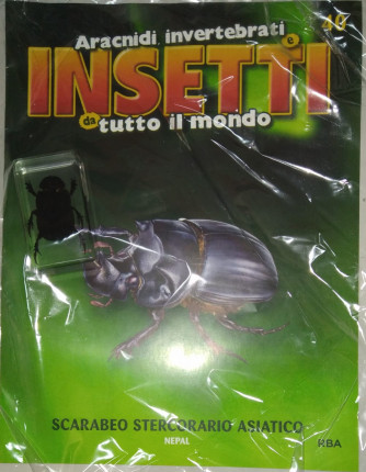 Insetti da tutto il mondo - Scarabeo Stercorario Asiatico - Nepal- Uscita n. 40 - 18/07/2024