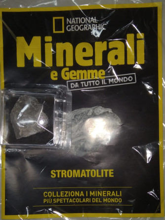 Minerali e Gemme da tutto il mondo - Stromatolite-  n. 131 - settimanale -23/08/2024