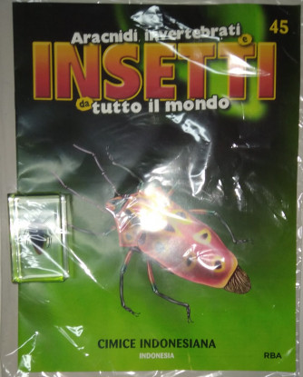 Insetti da tutto il mondo - Cimice indonesiana - Indonesia - Uscita n. 45 - 22/08/2024