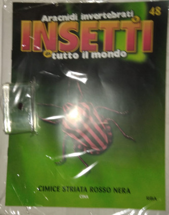 Insetti da tutto il mondo - Cimice striata Rosso nera - CINA - Uscita n. 48 - 12/09/2024