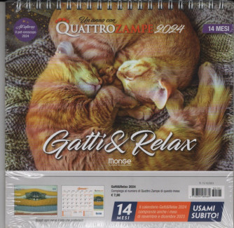 Calendario 2024 da tavolo "Gatti & Relax"- cm. 19 x 14 x 10 con spirale