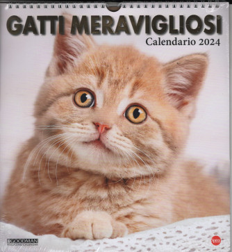 Calendario 2024 Gatti meravigliosi - cm. 27.5 x 30 con spirale