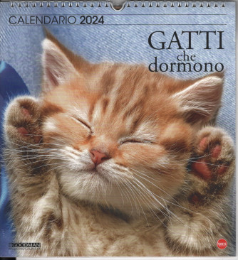 Calendario 2024 "Gatti che dormono" - cm. 27,5 x 30 con spirale