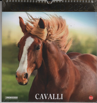 Calendario 2024 Cavalli cm. 27,5 x 30 con spirale