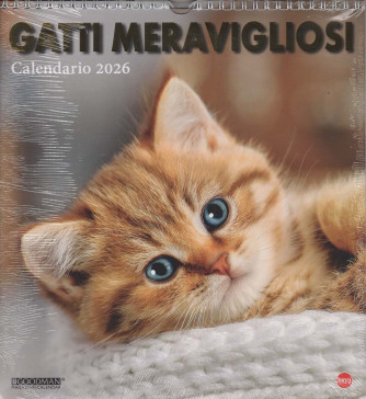 Calendario Gatti Meravigliosi 2026 (27x30 cm con spirale)