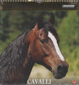 Calendario Cavalli 2026 (27x30 cm con spirale)