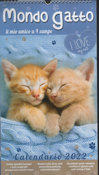 Calendario 2022 mondo Gatto cm. 24 x 45 c/spirale