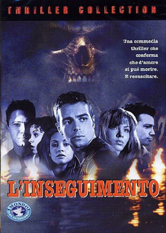 L' Inseguimento -  Joey Lawrence, Dru Mouser, Nathan Anderson (DVD)