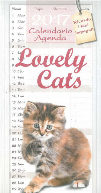 Calendario agenda 2017 Lovely Cats - cm. 22 x 48 c/spirale