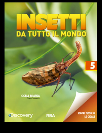 Collezione Insetti da tutto il mondo n.5  - Cicala Asiatica - RBA edizioni