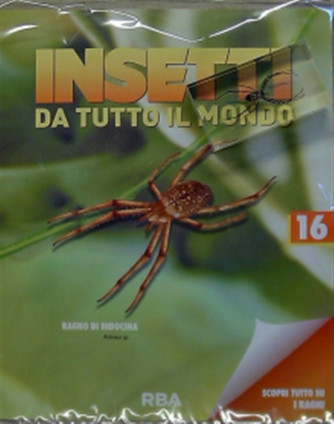 Collezione Insetti da tutto il mondo n.16  - Ragno di Indocina - RBA edizioni