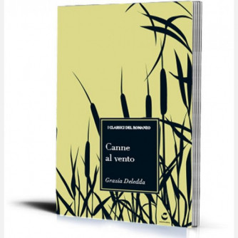 I classici del romanzo
