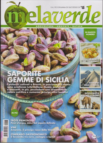 Mela Verde Magazine - n. 13 - mensile - gennaio 2019- 