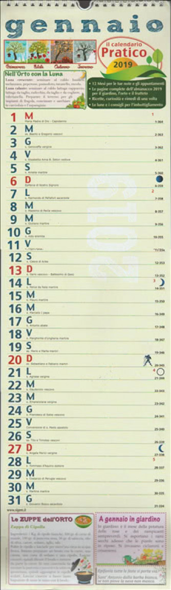 Calendario Pratico  2019 - cm. 18 x 63 con spirale 