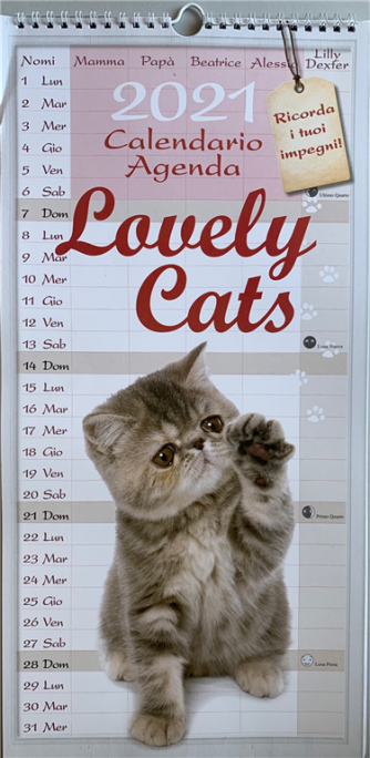 Calendario 2021 Lovely cats cm. 22x45 con spirale