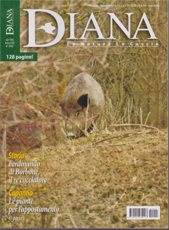 Diana - n. 11 - mensile - novembre 2020 - 128 pagine!