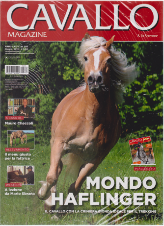 Cavallo Magazine - & Lo Sperone - n. 389 - giugno 2019 - mensile - + Cavallo Junior magazine in omaggio 