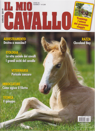 Il Mio Cavallo - n. 7 - luglio 2019 - mensile