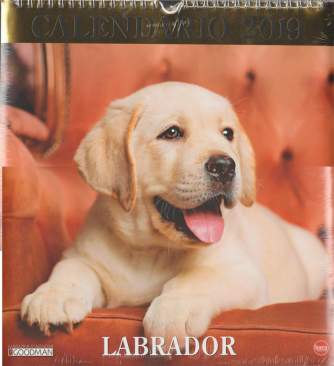 Calendario 2019 Labrador - cm. 28x30 con spirale 