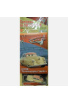 MATTEL Cars Collection
