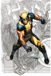 Wolverine E Gli X-Men 1 Var. - Cover Metallizzata - Marvel Italia