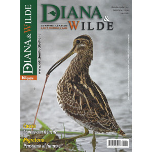 Diana  & Wilde- n. 4- mensile - 26/3/2024 - 144 pagine!