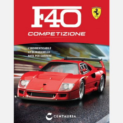 Costruisci la Ferrari F40 Competizione