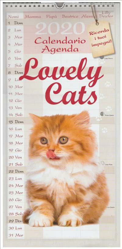 Calendario Agenda 2020 Lovely Cats Cm 22 X 45 Con Spirale Edicola Shop 1774